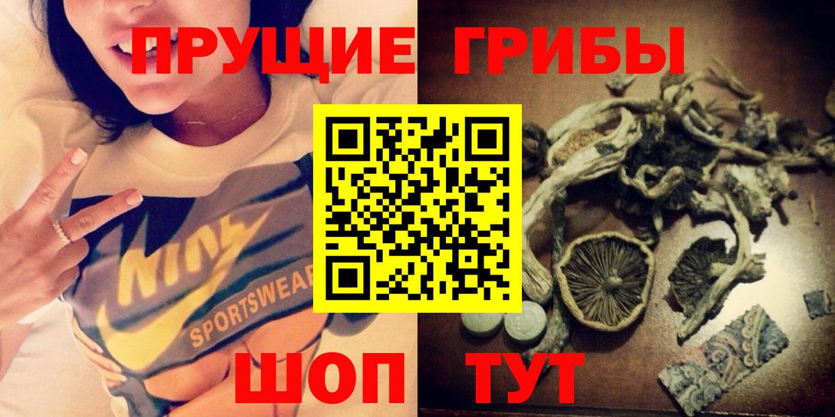 Минусинск  Галлюциногенные грибы Psilocybe  Вход с VPN 